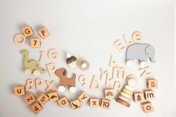 Birch Toddler Toys