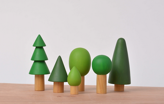 Birch Evergreen Forest Trees