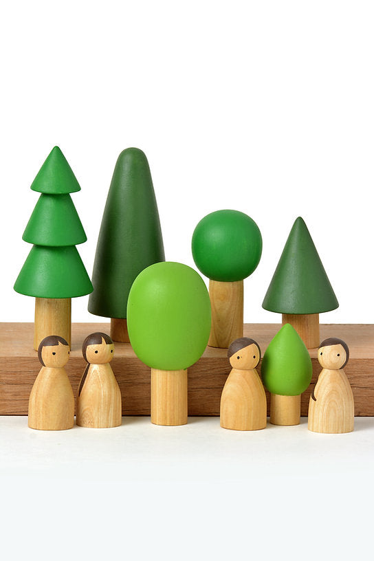 Birch Evergreen Forest Trees