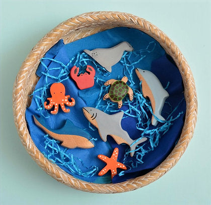 Birch Aquatic Set of 8