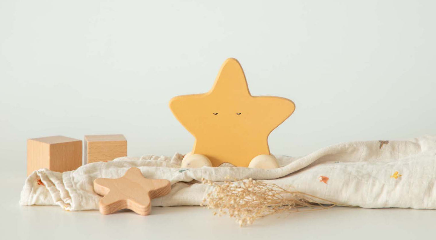 Birch Star Roller Toy