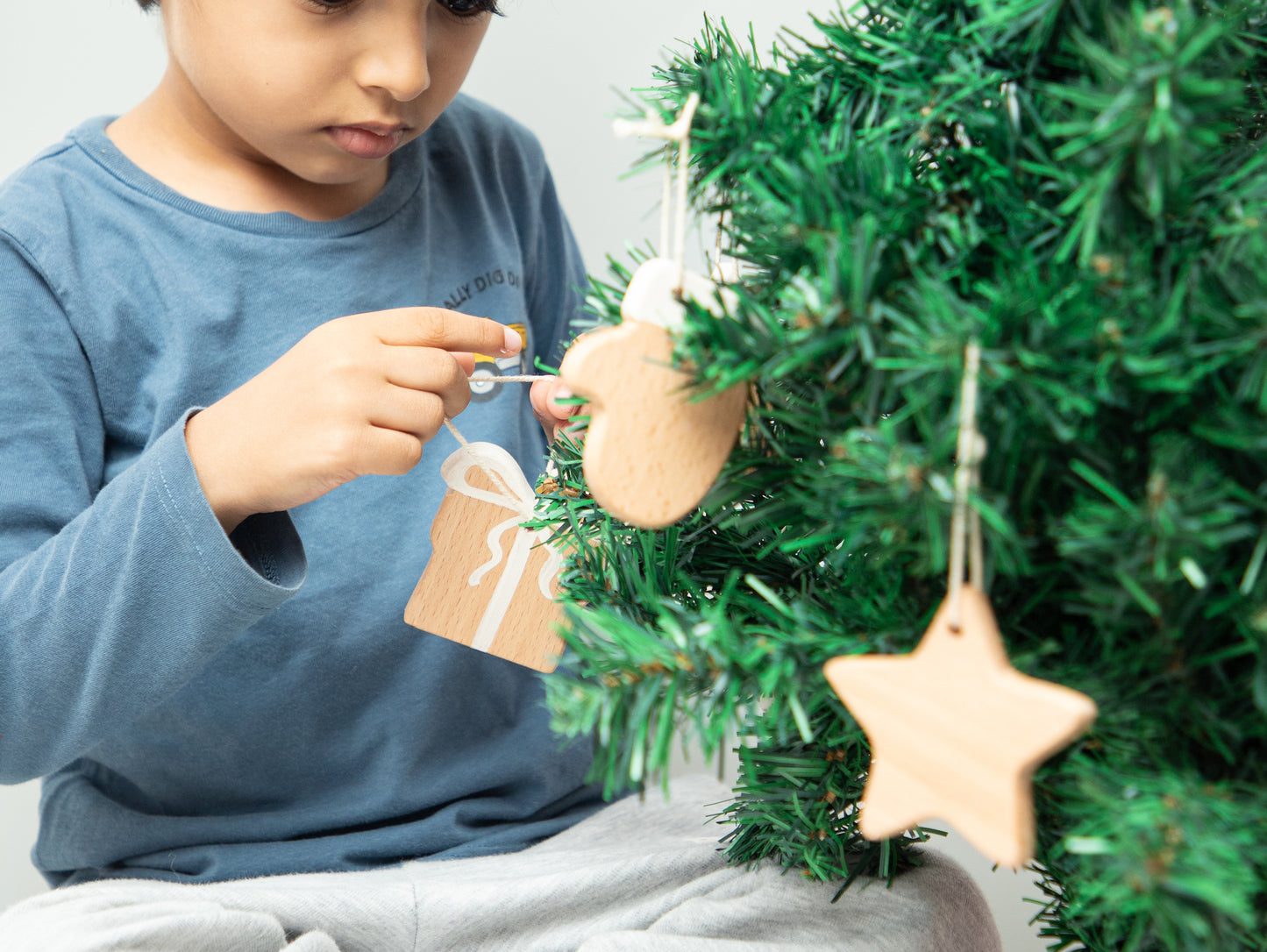 Birch Christmas Ornaments Set of 6