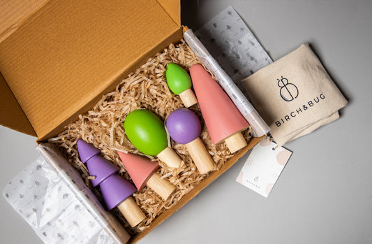 Birch Spring Forest Trees