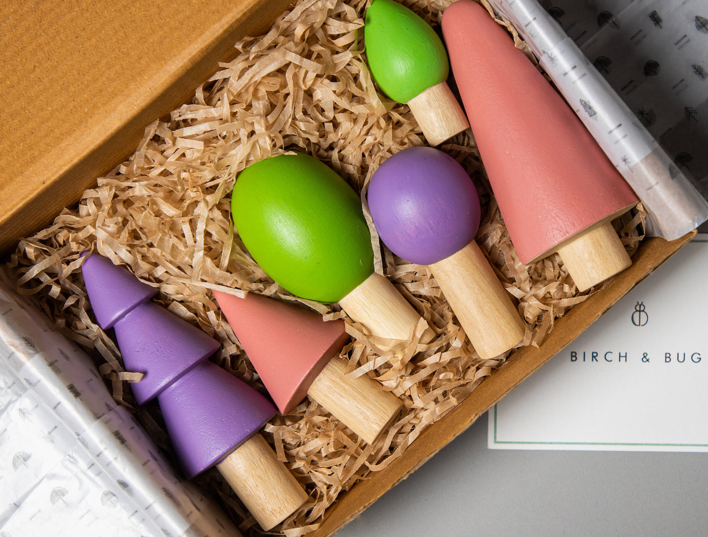 Birch Spring Forest Trees