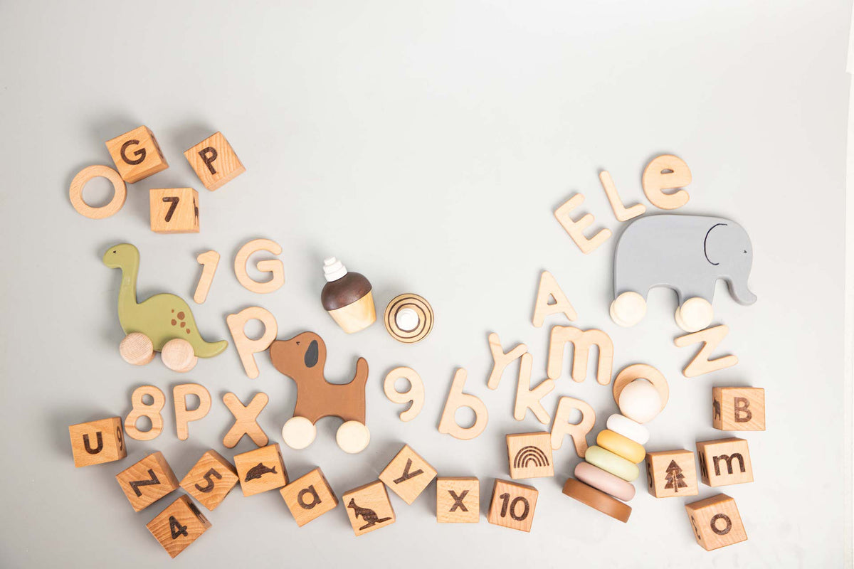 Birch Toddler Toys