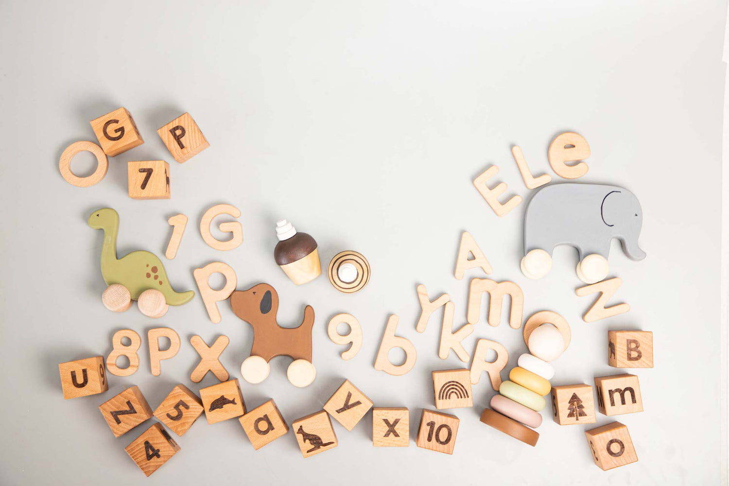 Birch Toddler Toys