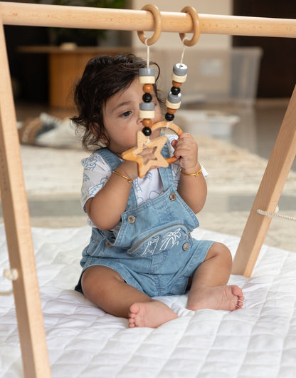 Birch Foldaway PlayGym - FLAT 20% OFF