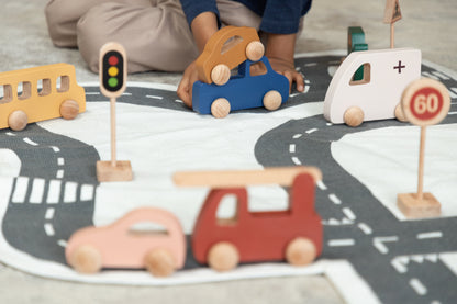 Birch Zoomie Car - Duck egg Blue