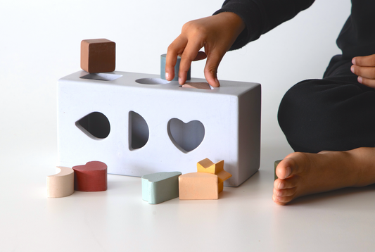 Birch Shape Puzzle box