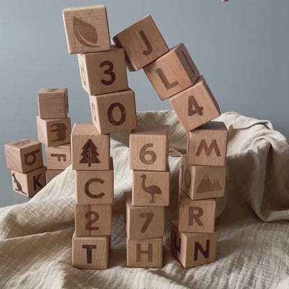 Birch Learning Blocks Set of 26