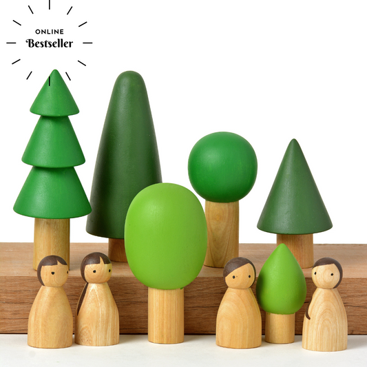 Natural Birch Folk in Evergreen forest