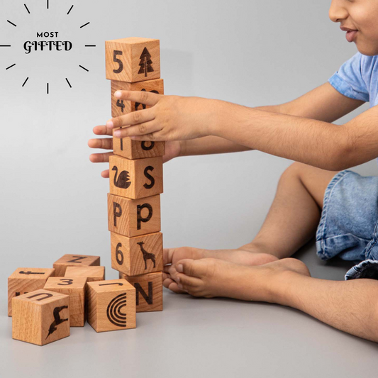 Birch Learning Blocks Set of 26
