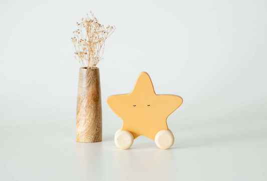 Birch Star Roller Toy