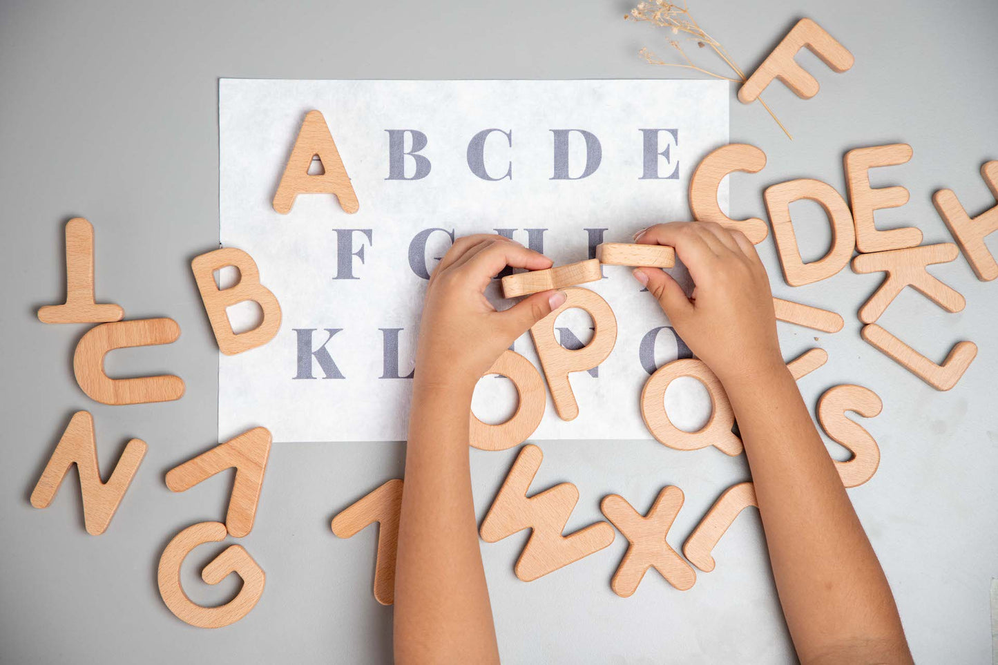 Birch Alphabets and Numbers - Combo Set of 62 pieces