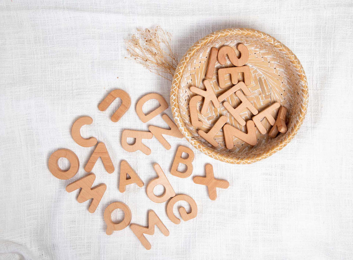 Birch Alphabets and Numbers - Combo Set of 62 pieces