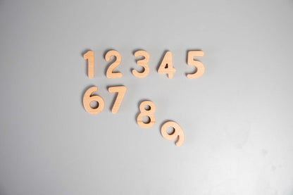 Birch Wooden Numbers