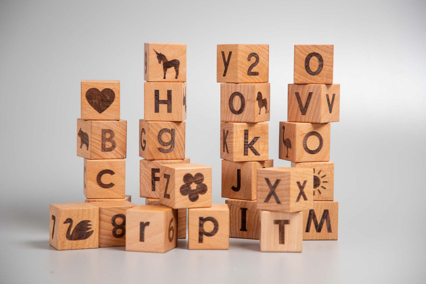 Birch Learning Blocks Set of 26