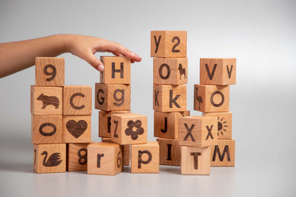 Birch Learning Blocks Set of 26